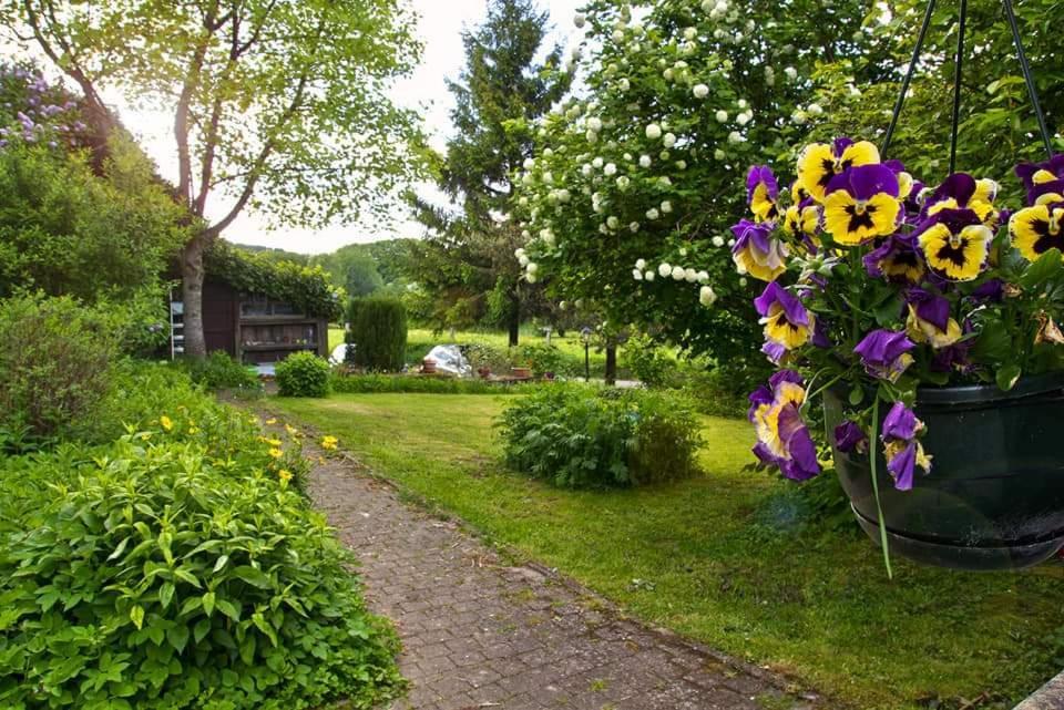 La Petite Maison Six Planes Экстерьер фото